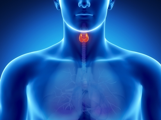 link between hypertension and thyroid cancer